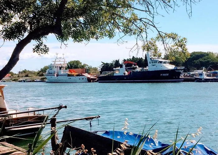 Le P'tit Littoral Le Grau-dʼAgde